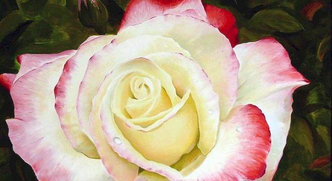 "Rose"