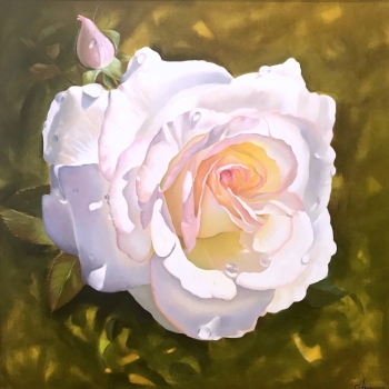 "Rose"