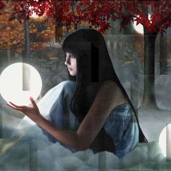 Sergio Cerchi